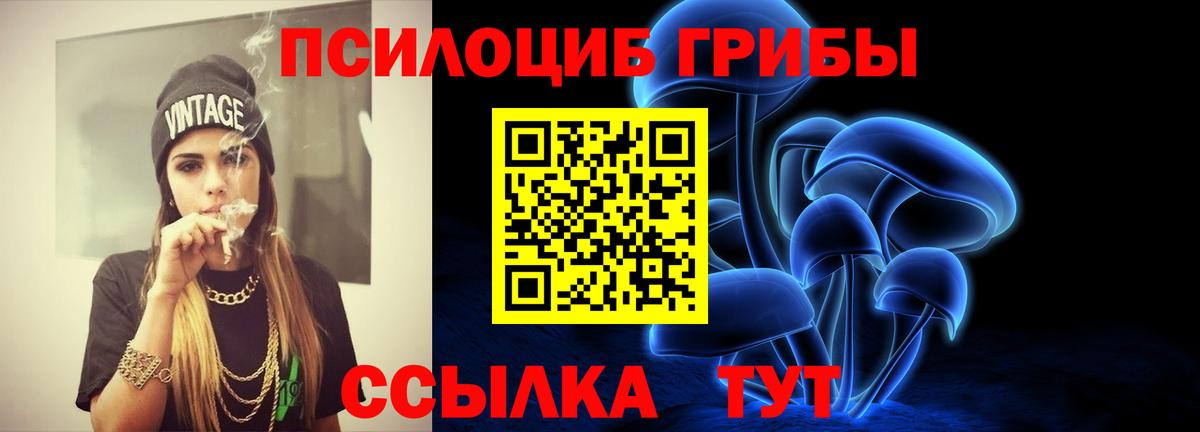 Галлюциногенные грибы прущие грибы Электрогорск